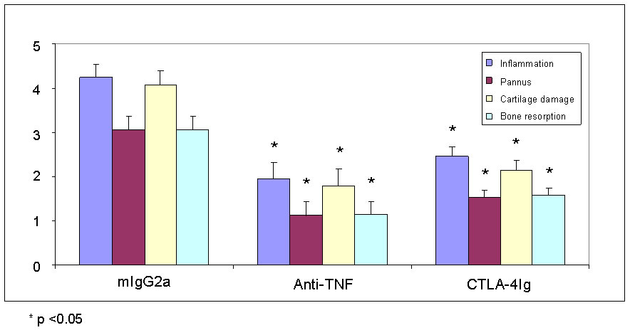 CIA - Therapeutic treatment with anti-TNF and CTLA4-Ig &ndash; Histological analysis